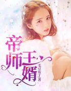 帝师王婿