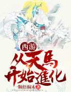 西游:从天马开始进化