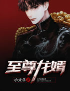 至尊龙婿