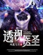 透视医圣