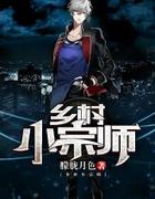 乡村小宗师