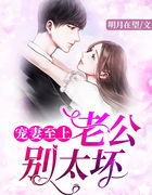 宠妻至上:老公别太坏