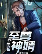 都市至尊神婿