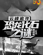 云峰追寻:恐龙化石之谜