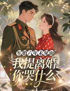 军婚六年未见面，我提离婚你哭什么
