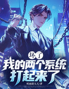 坏了，我的两个系统打起来了