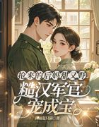 抢来的后妈甜又野，军官宠成宝